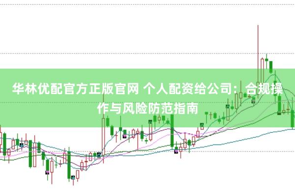 华林优配官方正版官网 个人配资给公司：合规操作与风险防范指南