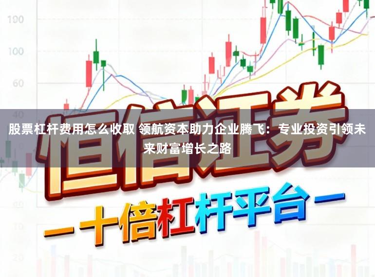 股票杠杆费用怎么收取 领航资本助力企业腾飞：专业投资引领未来财富增长之路
