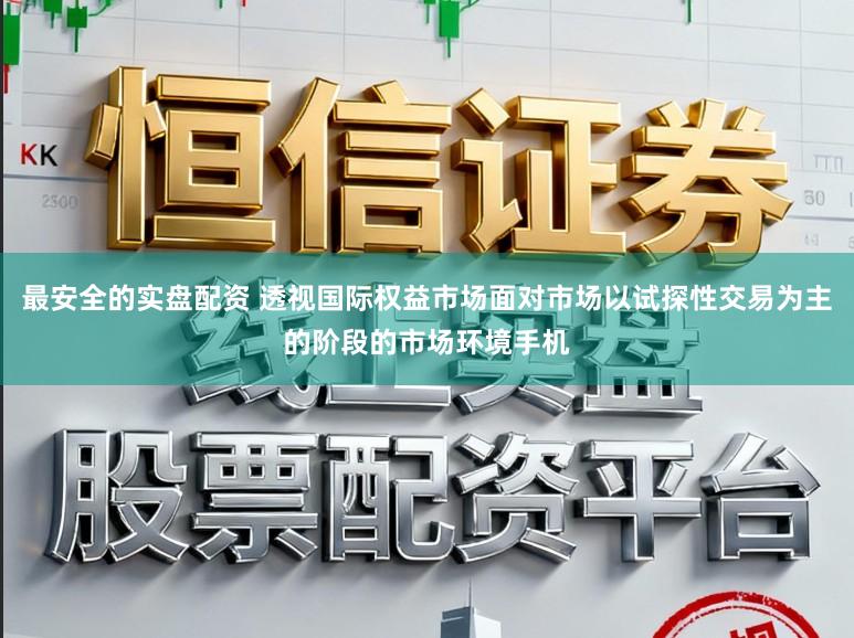 最安全的实盘配资 透视国际权益市场面对市场以试探性交易为主的阶段的市场环境手机