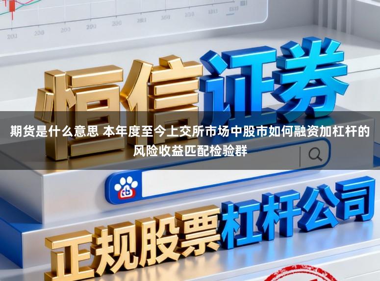 期货是什么意思 本年度至今上交所市场中股市如何融资加杠杆的风险收益匹配检验群