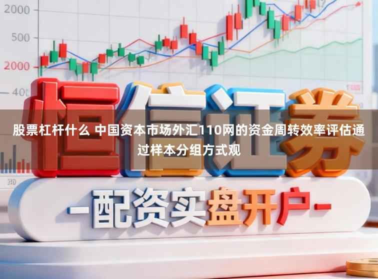 股票杠杆什么 中国资本市场外汇110网的资金周转效率评估通过样本分组方式观